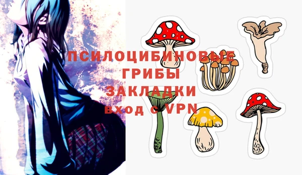 spice Новозыбков