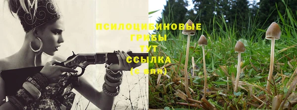 spice Новозыбков