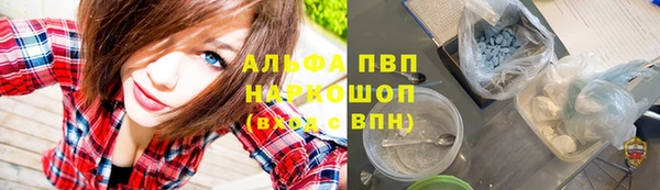 spice Новозыбков